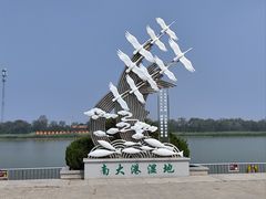 -南大港湿地风景区