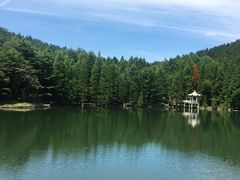 -四明山国家森林公园