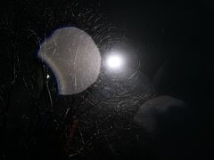 -周黑鸭(北京海淀区新中关店)