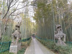 -云栖竹径