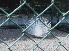 -南京金牛湖风景区