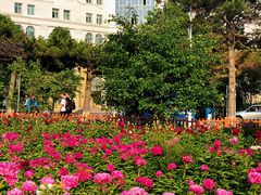 -吉林大学(前卫南区)