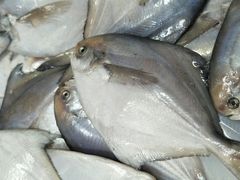 -王四营海鲜市场
