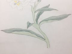 -谷隆画舍·国画书法素描彩铅水彩