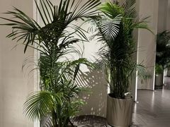 -YCHL FIT 健身(星寰店)