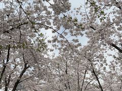 -龙美术馆(西岸馆)