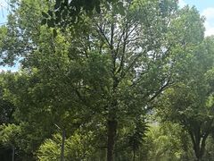 -时间仓(月湖公园店)