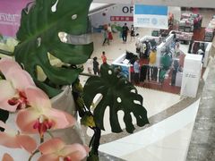 -万达广场(泰安泰山店)