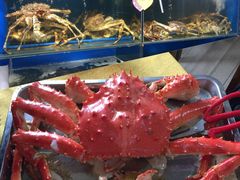 -蚝专家(北滘店)