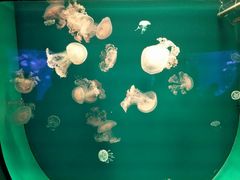 -福州罗源湾海洋世界旅游区