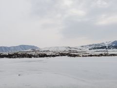 -江心岛