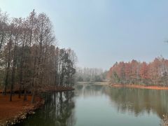 -梁鸿国家湿地公园