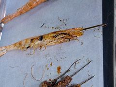 -曹掌柜小酒馆烧烤集团(宾川路店)