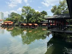 -侨美·唐荔园·40年地道粤菜