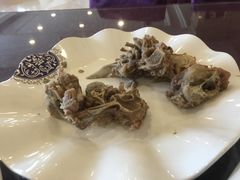 -清雅轩·清真菜·传统菜•融合菜(滑翔店)