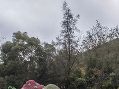 -东部华侨城