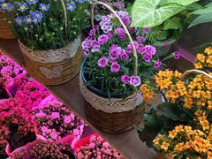 -双季花艺园艺市场(浦东店)