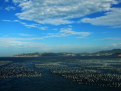 -枸杞岛