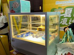 -维尔纳斯·生日蛋糕动物奶油冰淇淋蛋糕(人大店)