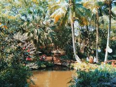 -海南热带野生动植物园