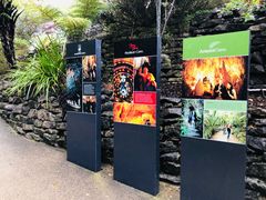 -怀托摩萤火虫洞