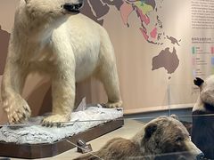 -Behring World of Animals(上海自然博物馆店)