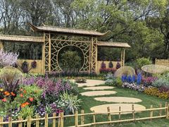 -上海共青森林公园