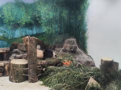 -杭州动物园