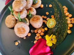 羞羞的蘑菇拳-烛影拾光观景餐厅·创意菜·摄影·小提琴(大唐不夜城店)