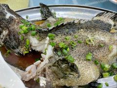 -明记海鲜大排档(巽寮湾店)