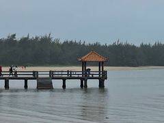 -东郊椰林