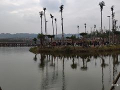 -枫香湖儿童公园