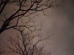 -翠花老菜饺子馆(七宝店)