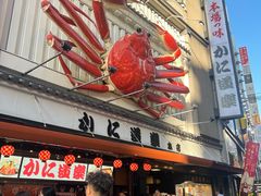 -蟹道乐(道顿堀本店)