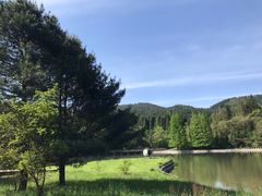 -武陵山森林公园