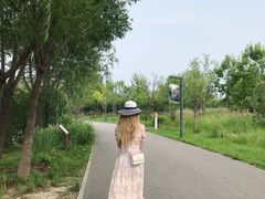 -东郊湿地公园