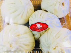 大肉包-白玉兰食品(甜云店)