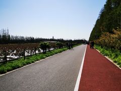 -上海长兴岛郊野公园