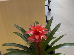 -上海浦东smart汽车全功能店(金桥店)