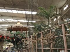 -南宫五洲植物乐园