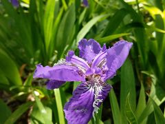 -丹香(城阳大润发店)