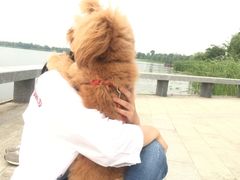 -如皋市龙游湖欢乐世界