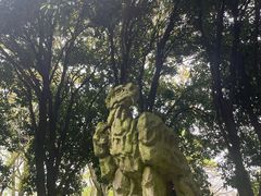 -南山植物园