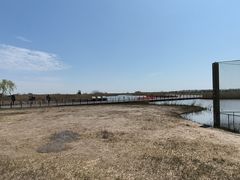 -盐城丹顶鹤湿地生态旅游区