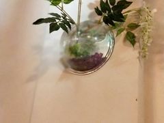 -金雨烧烤(新城南都店)