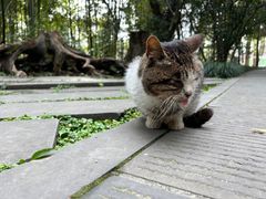 -成都杜甫草堂博物馆