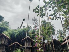 -海南槟榔谷黎苗文化旅游区