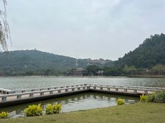 -顺峰山公园