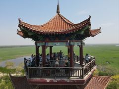 -南大港湿地风景区