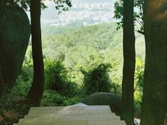 -火炉山森林公园